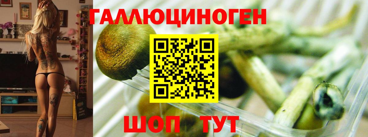 Псилоцибиновые грибы мухоморы  Вход с VPN  Сегежа 